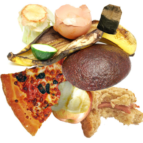Food Waste
